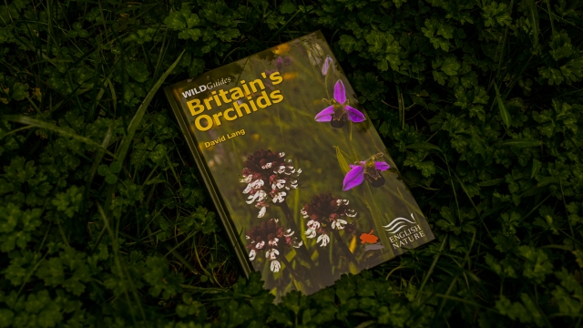 Britain's Orchids front cover