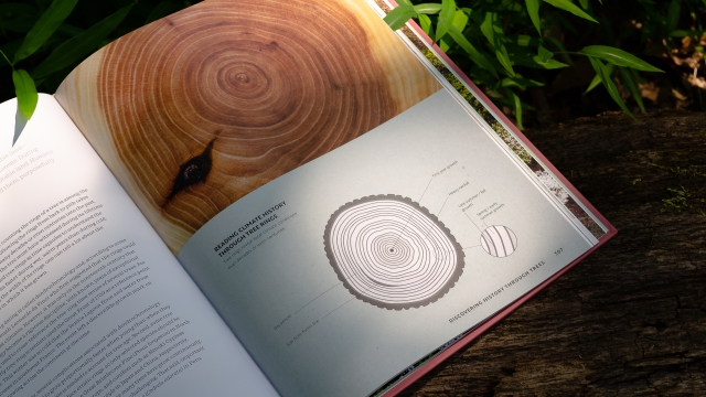 The World Atlas of Trees and Forests - page spread angled left