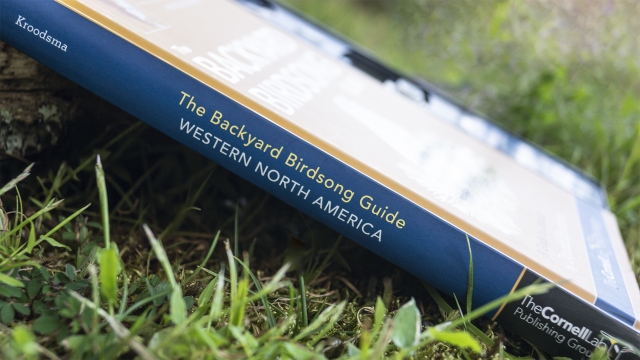 Backyard Birdsong Guide - spine