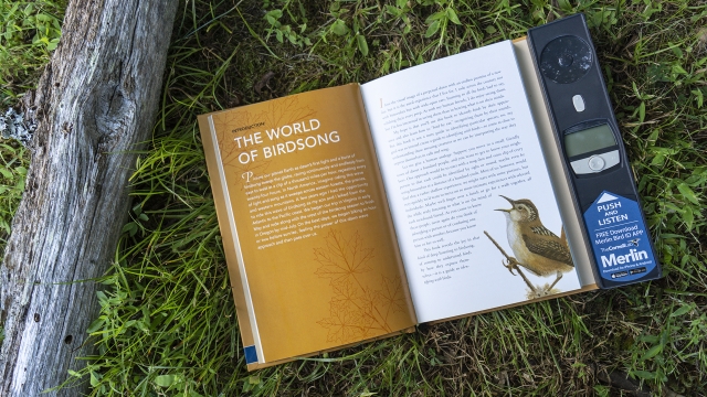 Backyard Birdsong Guide - Introduction