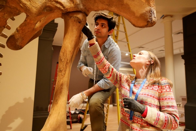 Ariel O’Connor and Advait Mahesh Jukar discuss joins between wooden replica bones and original mastodon bones