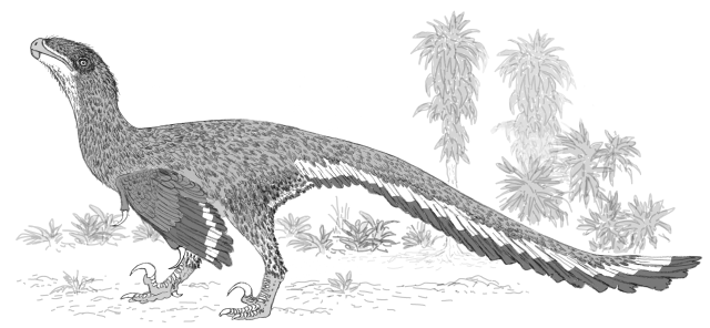 drawing of dinosaur: Deinonychus